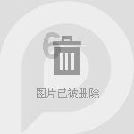 德军总部：新秩序