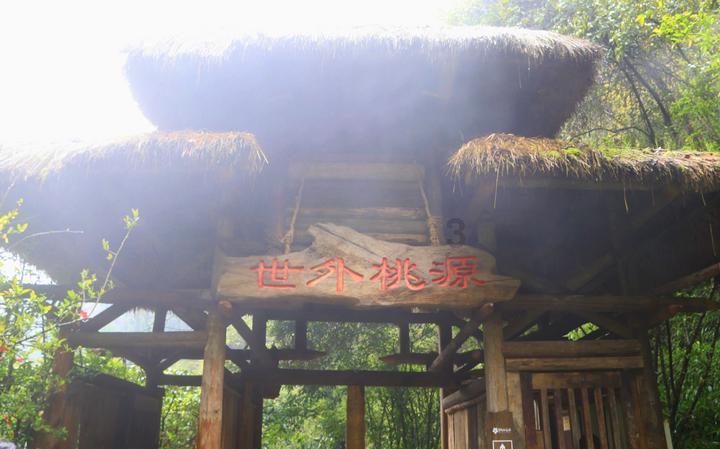 救援受困的老虎